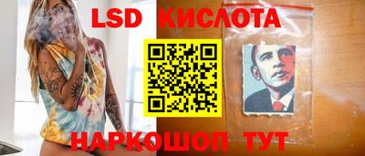 прущие грибы Тверь
