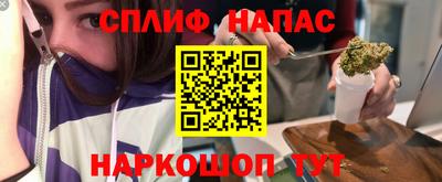 дживик Тара