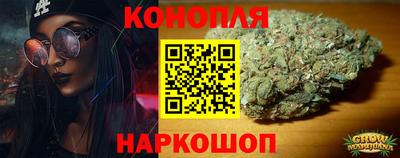 прущие грибы Тверь