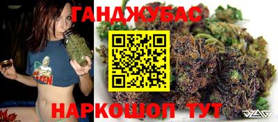 дживик Тара