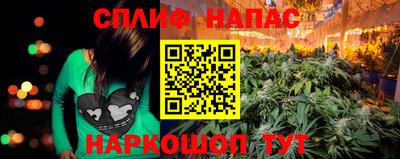 дживик Тара
